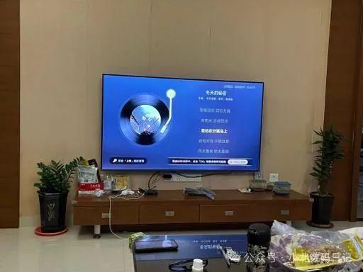 十名：电视选购不迷茫TOP10推荐爱游戏(ayx)电视机品牌排行榜前(图7)