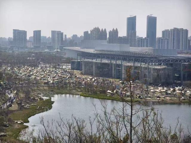 开有人想出了对策！公园草坪已鲜见天幕但争议仍存在爱游戏平台世博文化公园禁用风绳和地钉后有人选择离(图3)